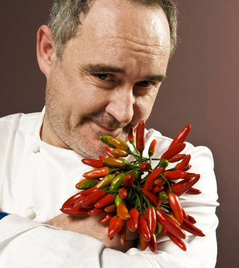 El Bulli Chefs at NOBRAND Premises THE BLUE HOUSE