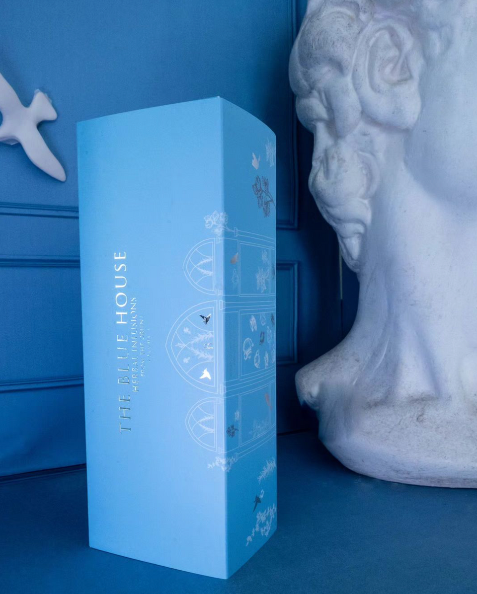 THE BLUE HOUSE GREECE