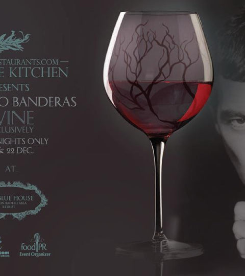Antonio Banderas Wine Tasting session