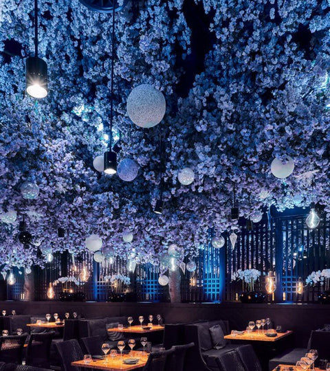 The Psychology of Color in Restaurant Design
