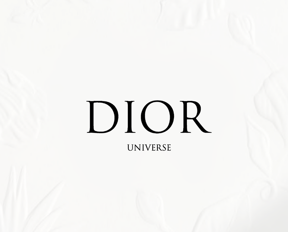 DIOR UNIVERSE