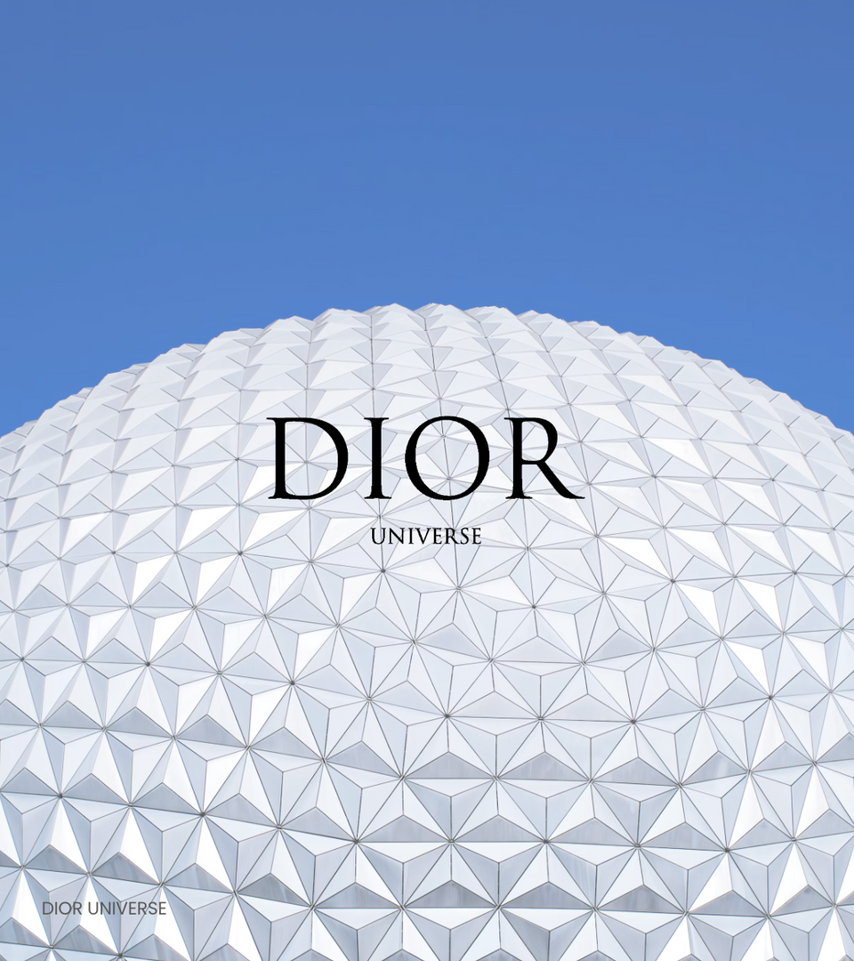 DIOR UNIVERSE