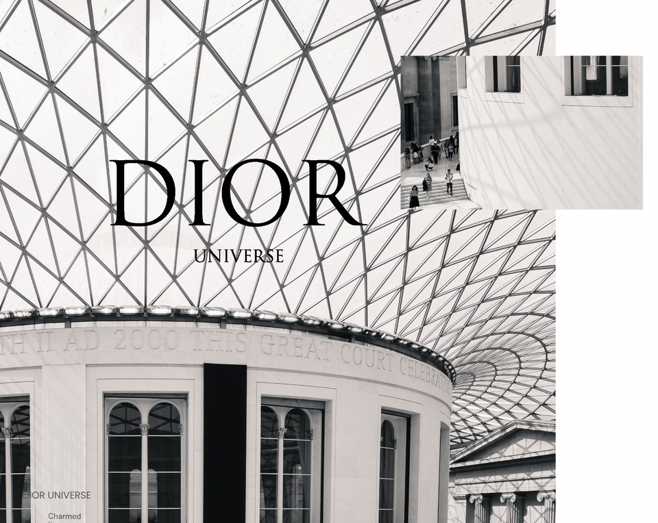 DIOR UNIVERSE